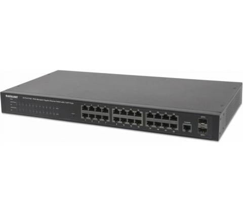 Intellinet 560559