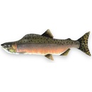 BeCare Vankúš Losos 62 cm