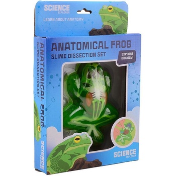 Felyx Toys JT Science Explorer Жаба за Дисекция (1011614F)