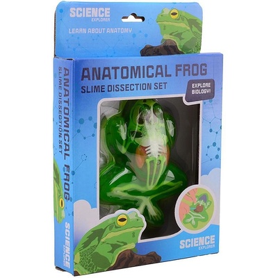 JT Science Explorer Жаба за Дисекция (1011614F)