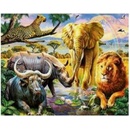 Norimpex Diamantové malování Království zvířat 30 x 40 cm