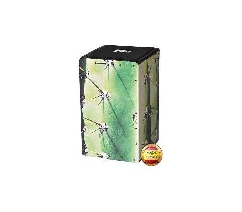 Volt Cactus Cube
