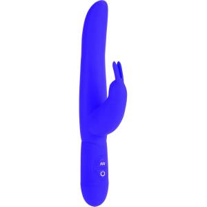 CalExotics CalExotics Bounding Bunny