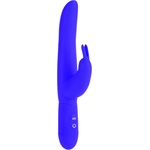 CalExotics CalExotics Bounding Bunny