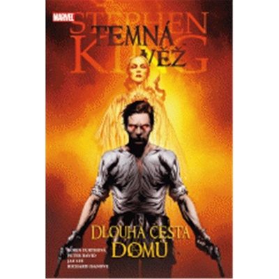 Temná věž dlouhá cesta domů - KING STEPHEN, FURTHONOVÁ ROBIN