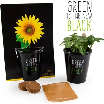 Image 1 of Radis et Capucine Черна саксия Слънчоглед ( декоративен ) (034141)