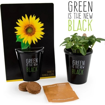 Radis et Capucine Черна саксия Слънчоглед ( декоративен ) (034141)