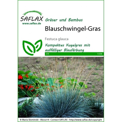 Saflax Kostrava sivá 1 bal.