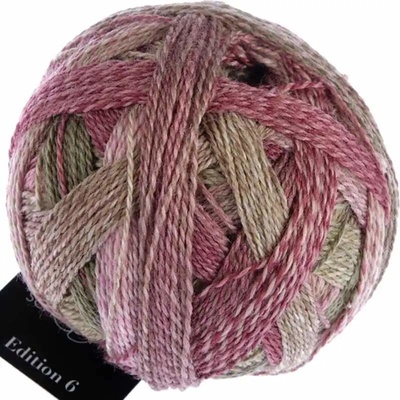 Schoppel wolle Edition 3 2442 Holzklasse