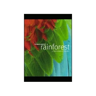 Rainforest