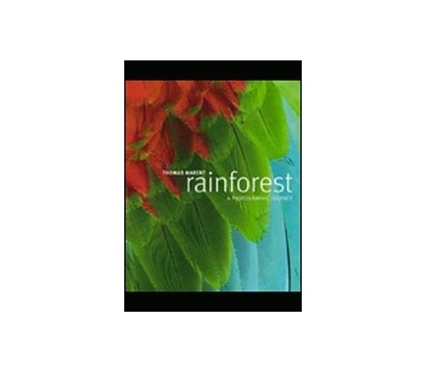 Rainforest