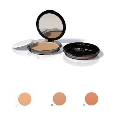 Regina kompaktní pudr J2 10 g