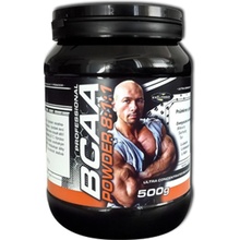 Explomax Instant BCAA 8:1:1 Professional 500 g