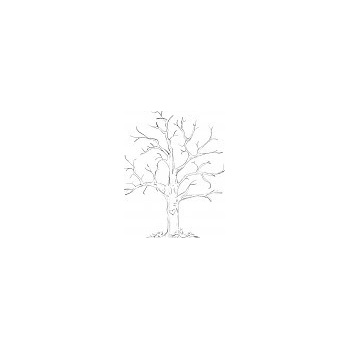 Svatební strom černobílý se srdcem A3 - svatební stromy
