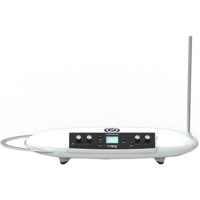 Moog Theremini Синтезатор (EW-THEREMINI-01-06)