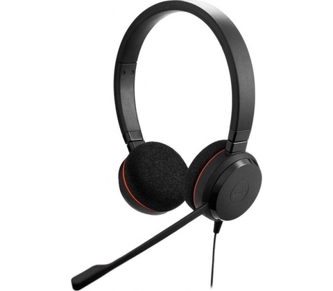 Jabra Evolve 20