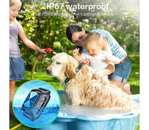 Reedog Q20