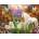 SunsOut - Puzzle Krasny: Castle Unicorns - 1 000 piese