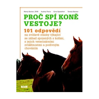 Proč spí koně vestoje?