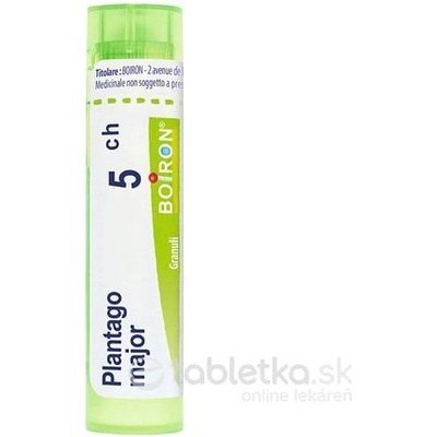 Plantago Major gra.1 x 4 g 5CH