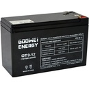 GOOWEI ENERGY Pb akumulátor VRLA AGM 12V/9Ah OT9-12