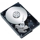 Pevné disky interné Seagate Cheetah 15K.7 300GB, SAS, 15000RPM, 16MB, ST3300657SS