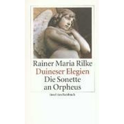 Duineser Elegien / Die Sonette an Orpheus Rilke Rainer MariaPaperback