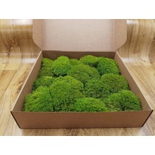 Nový Mood moss – light green