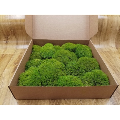 Nový Mood moss – light green