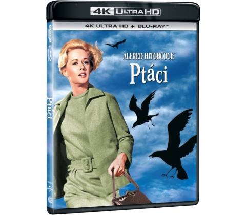 Ptáci BD