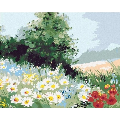 zuty Malování podle čísel Sedmikráskové pole 80 x 100 cm vypnuté plátno na rám