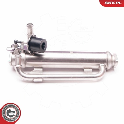 AGR - Ventil ESEN SKV 14SKV126