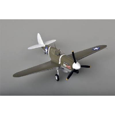 Easy Model P-40M 44FS,18FG USAF 1:48