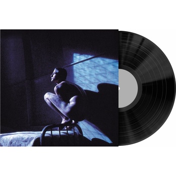 GABRIEL, PETER - BIRDY LP