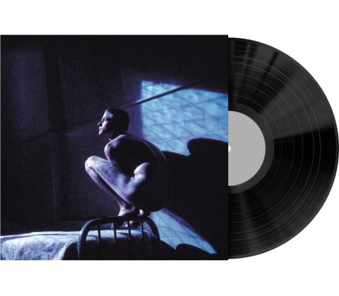GABRIEL, PETER - BIRDY LP