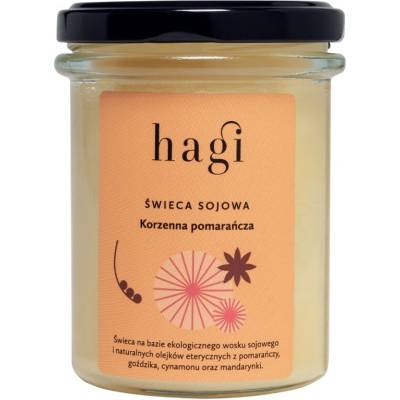 Hagi Pikantný pomaranč 215 ml