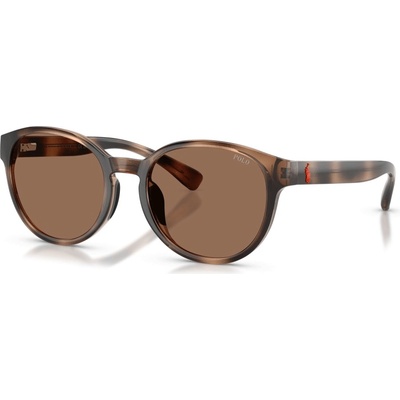Ralph Lauren pp9509u 597473 (pp9509u 597473)