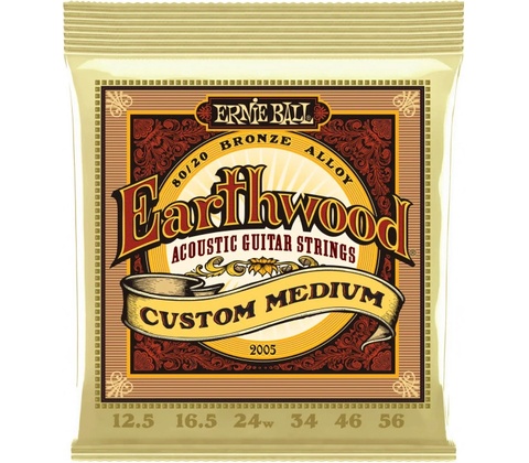 Ernie Ball 2005