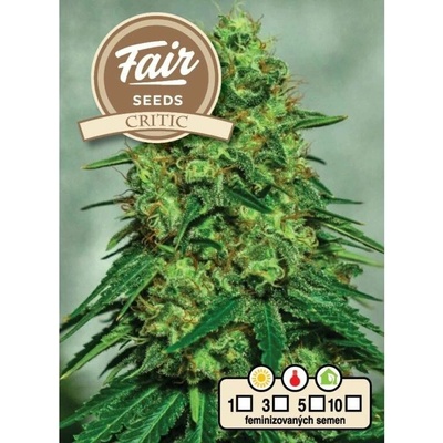 Fair Seeds Critic semena neobsahují THC 10 ks