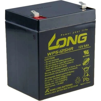 LONG 12V 5Ah PBLO-12V005-F1AH