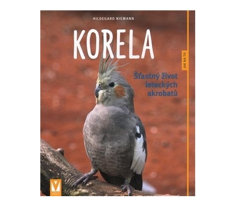 Korela