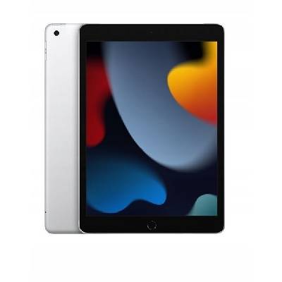 Apple iPad 10.2 (2021) 256GB Wi-Fi Silver MK2P3FD/A