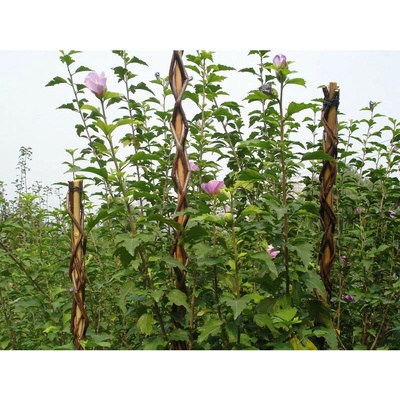 Tyč Garden Willow 160 cm, prútená, oporná k rastlinám