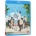 Silent Voice BD