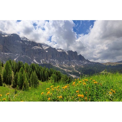 DIMEX ART Флизелинов фототапет летен ден в планината 375 x 250 см