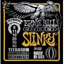 Ernie Ball 3122