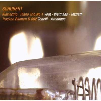SCHUBERT: KLAVIERTRIO - PIANO TRIO NO. 1/TROCKNE BLUMEN D 802 CD