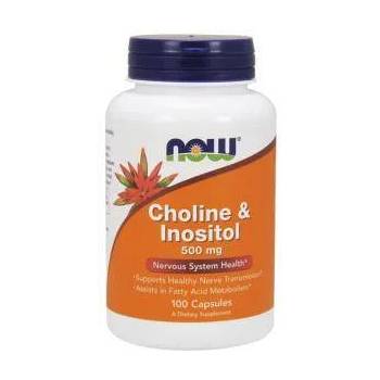 NOW Холин и Инозитол - Choline & Inositol 500 мг. - 100 капсули - NOW FOODS, NF0470