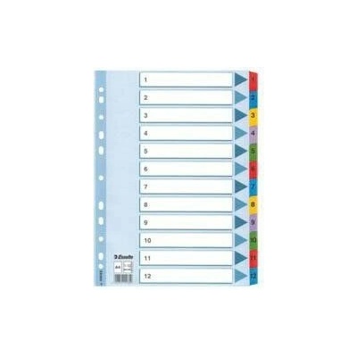 Esselte Registre Mylar A4 1-12 1 ks