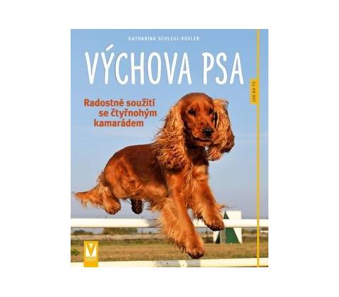 Výchova psa